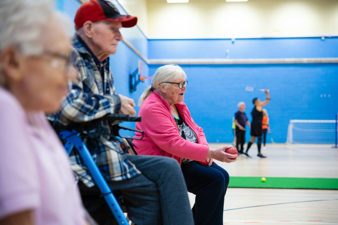 Senior Wellness Checklists