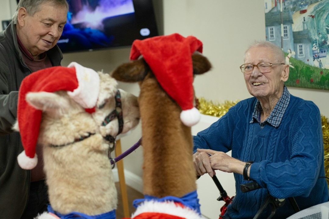 Preventing Cognitive Decline